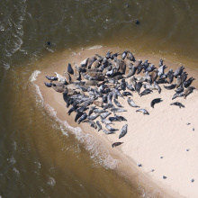 Photos by: Prof. Dr. Włodzimierz Meissner