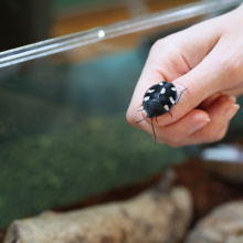 fot. Monika Nagórska