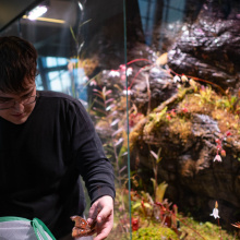 fot. Marcel Jakubowski