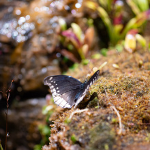 fot. Marcel Jakubowski