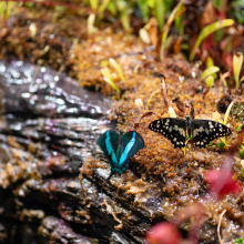 fot. Marcel Jakubowski