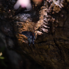 fot. Marcel Jakubowski