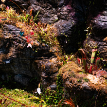 fot. Marcel Jakubowski