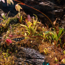 fot. Marcel Jakubowski