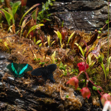 fot. Marcel Jakubowski