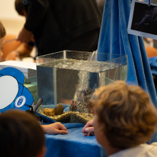 fot. Marcel Jakubowski