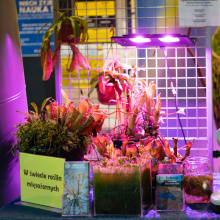 fot. Marcel Jakubowski