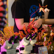 fot. Marcel Jakubowski