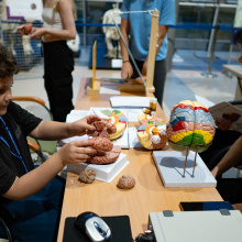 fot. Marcel Jakubowski