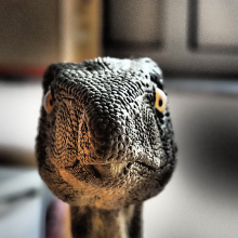 Silesaurus