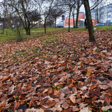 fot. Marcel Jakubowski