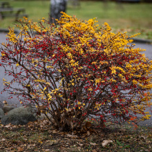 fot. Marcel Jakubowski