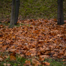 fot. Marcel Jakubowski