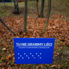 fot. Marcel Jakubowski