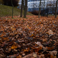 fot. Marcel Jakubowski