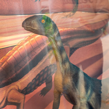 Silesaurus