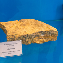 wystawa