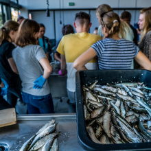 Siódma edycja kursu w 2019 roku