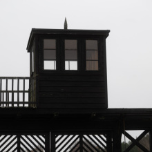 fot. dr Dominika Rafalska