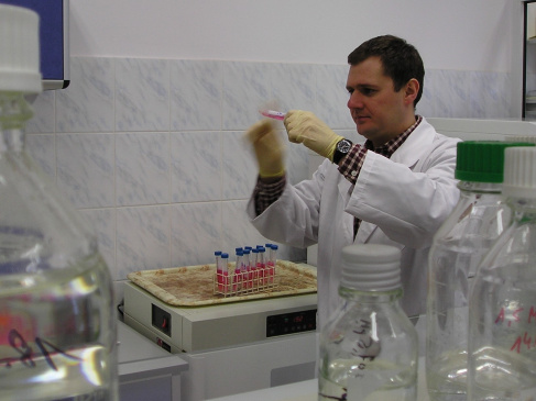 labo 022-pstragi.jpg