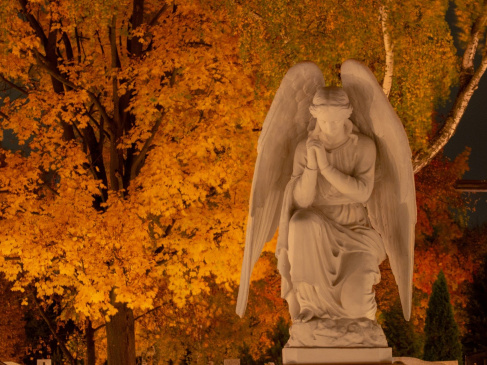 Obraz Artur Łuczka z Pixabay