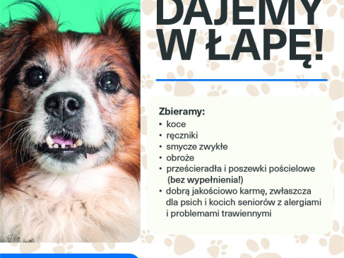 Dajemy w łapę