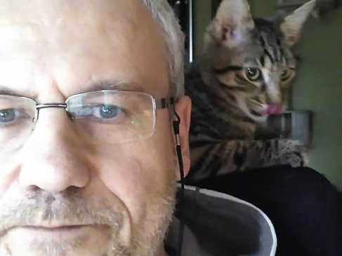 koty Marcin Marciniak