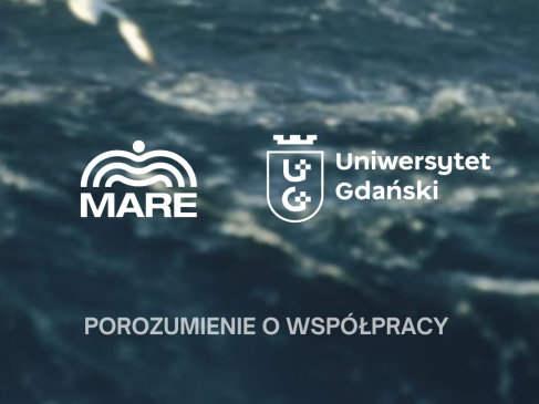 fot.