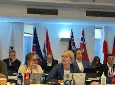 fot. Francisco Santa Cruz