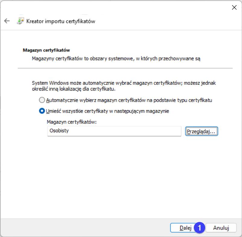 Windows 11