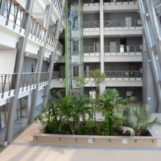 Wyspa Darwina na Wydziale Biologii UG to jedno z miejsc spotkań studentów. Zdjęcie tropikalnych roślin znajdujących się na parterze Wydziału Biologii UG.