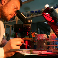 Jedno z laboratoriów Instytutu Biotechnologii UG Jedno z laboratoriów Instytutu Biotechnologii UG