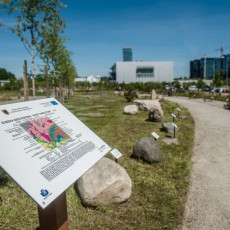 EkoPark Uniwersytetu Gdańskiego im. Macieja Płażyńskiego. Teren zachowania i promocji bioróżnorodności, pełniący funkcje edukacyjne, naukowe i rekreacyjne.  EkoPark Uniwersytetu Gdańskiego im. Macieja Płażyńskiego. Teren zachowania i promocji bioróżnorodności, pełniący funkcje edukacy