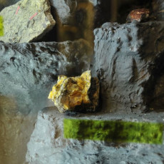 Wystawa poświęcona bursztynowi i inkluzjom, które od lat są tematem badań w pracowni Muzeum Inkluzji w Bursztynie w Katedrze Zoologii Bezkręgowców i Parazytologii UG. Wystawa poświęcona bursztynowi i inkluzjom, które od lat są tematem badań w pracowni Muzeum Inkluzji w Bursztynie w Katedrze Zoo